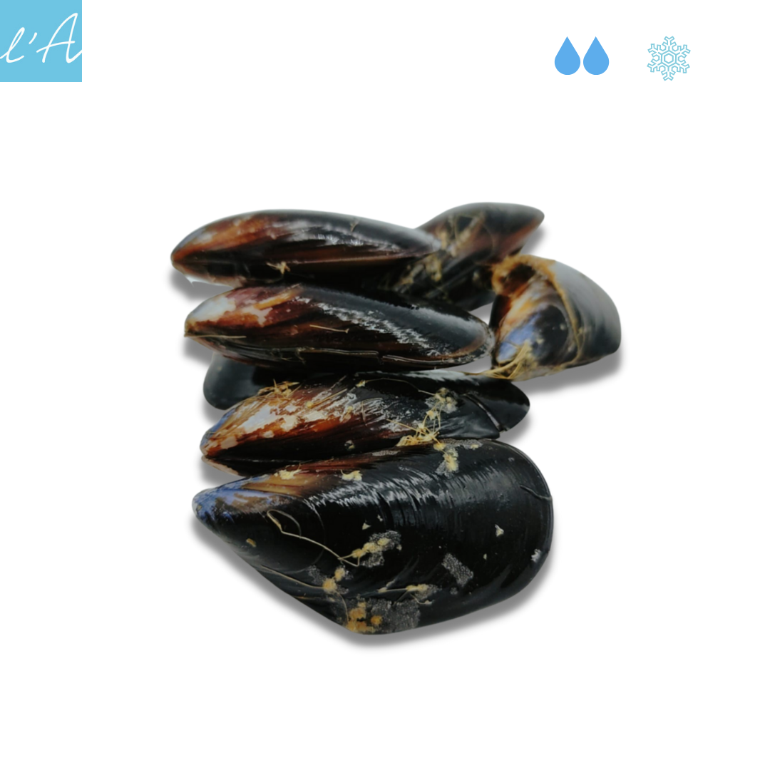 Cozze