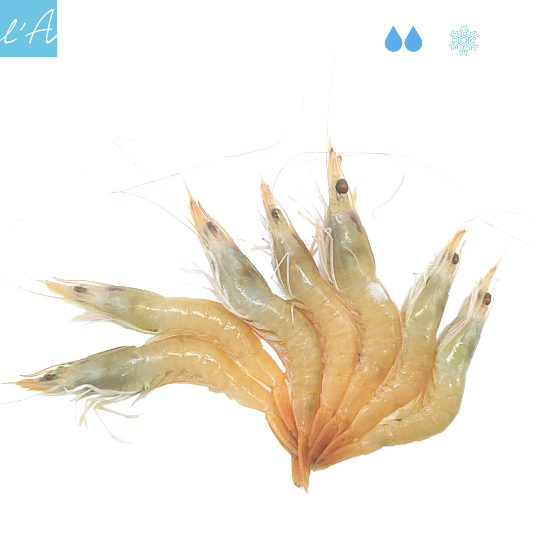 Gambero rosa locale 500gr