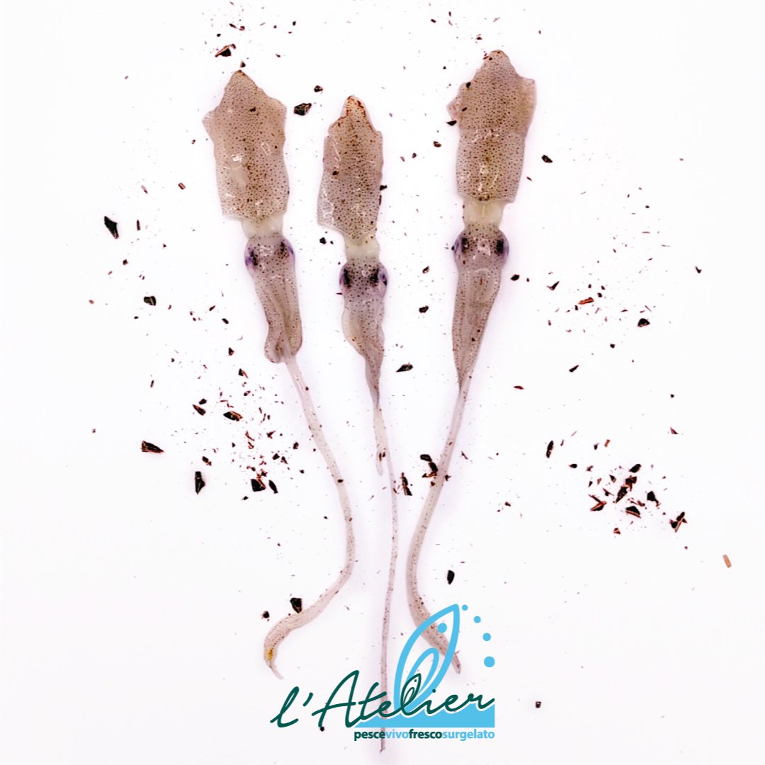 Da infarinare e friggere...