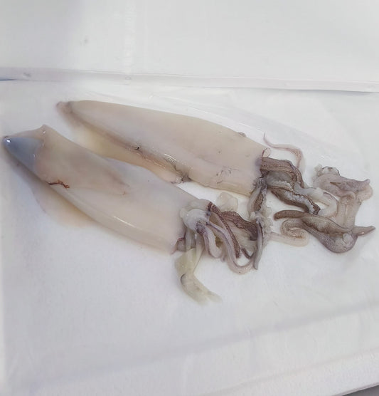 Calamaro pulito fresco conf. 750/800gr 3/4 pers