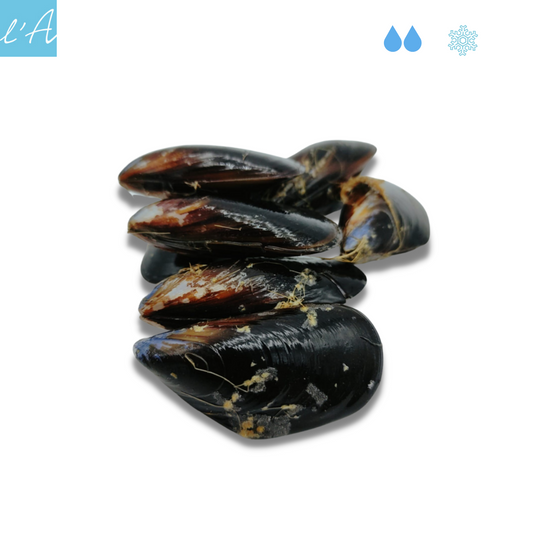 Cozze