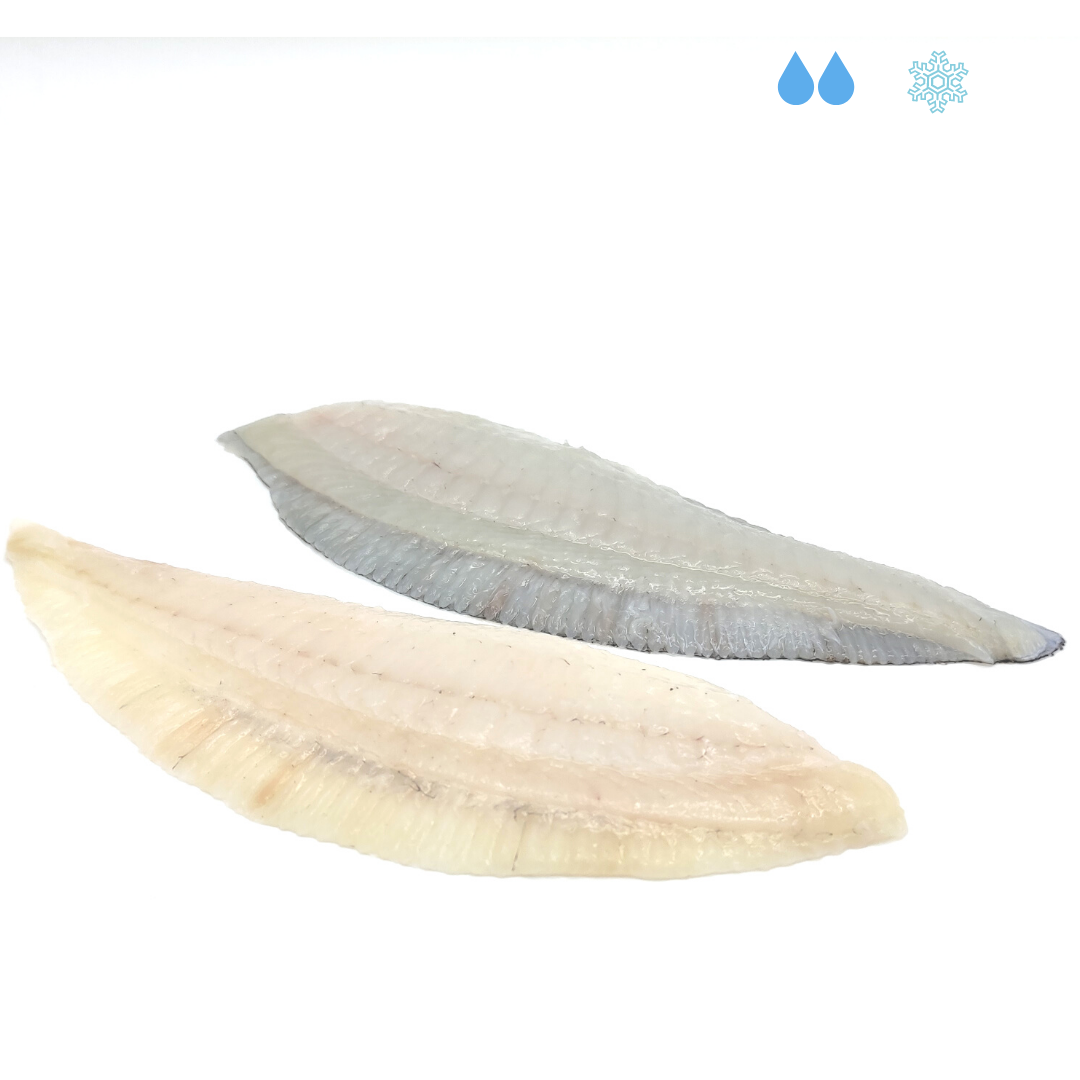 Filetti di soaso -40° - conf. 400-500gr - 2 pers.