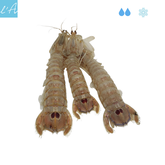 Cicala o pannocchia 500gr 2/3 pers