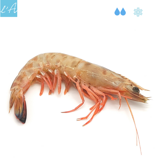 Mazzancolla locale conf 500gr 3/4 pers