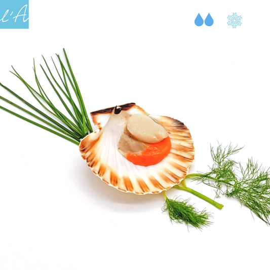 Cappasanta mezzo guscio al pezzo