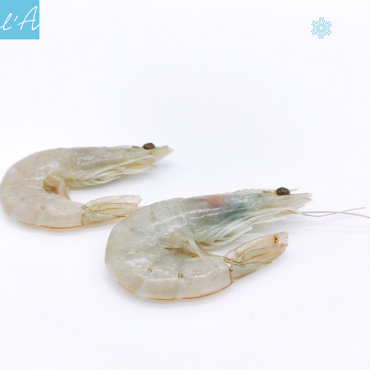 Mazzancolla tropicale congelata conf 500gr