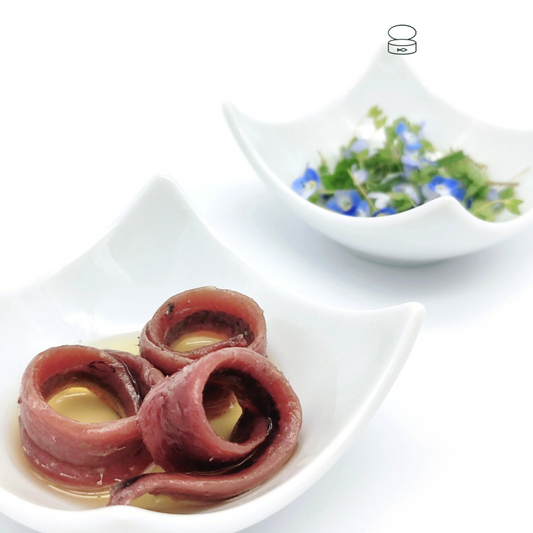 Alici del Cantabrico filetti