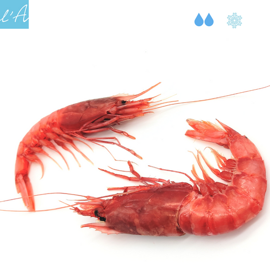 Gambero rosso 500g