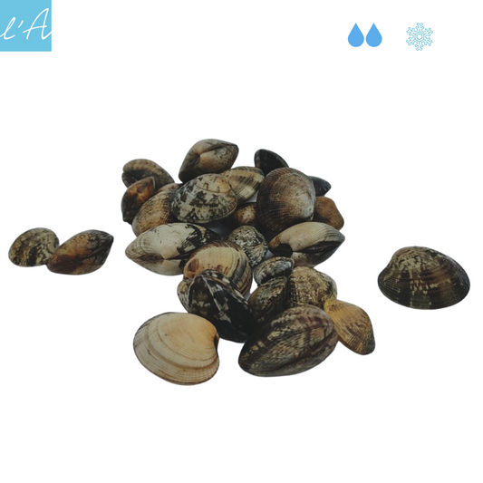 Vongole veraci 1 Kg